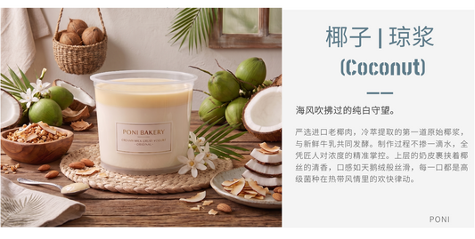 Toasted Coconut Milk Skin Yogurt